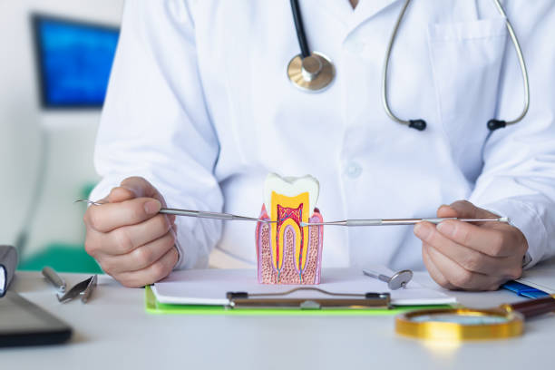Best Emergency Root Canal Treatment in Fort Thomas, KY